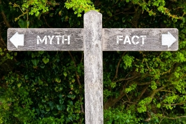 Save Download Preview Wooden signpost with two opposite arrows over green leaves background